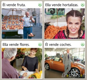 Rosetta Stone Foreign Language 